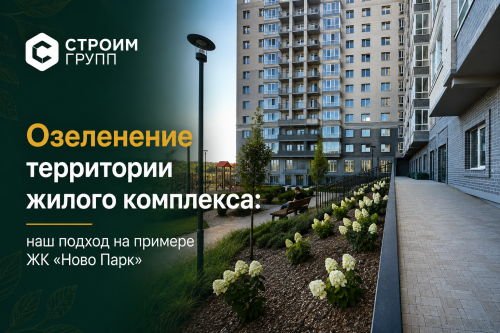 Озеленение территории в наших ЖК