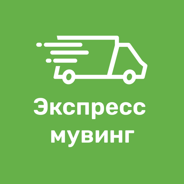 Экспресс мувинг